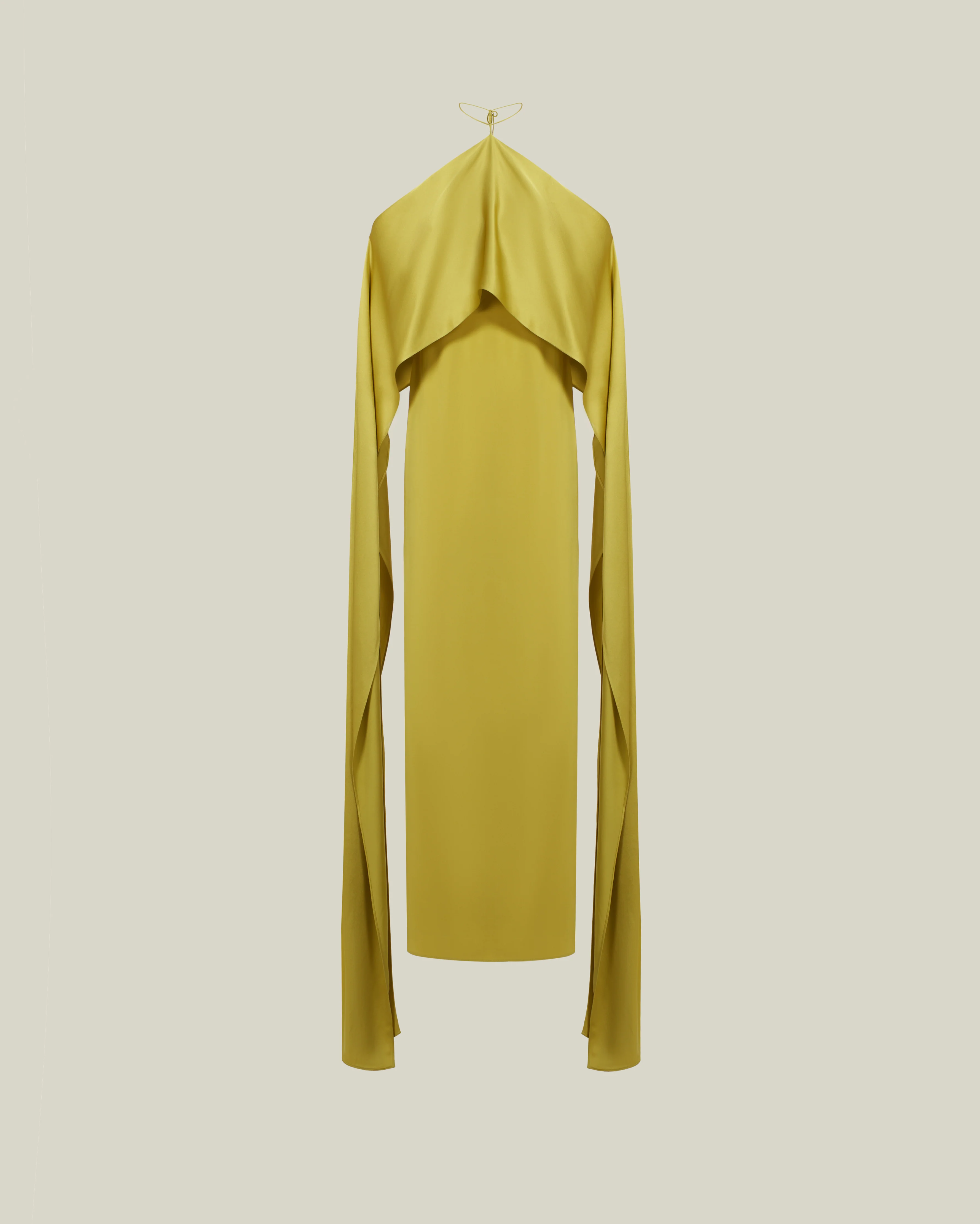 Nan Dress in Gold Kiwi - Image 3